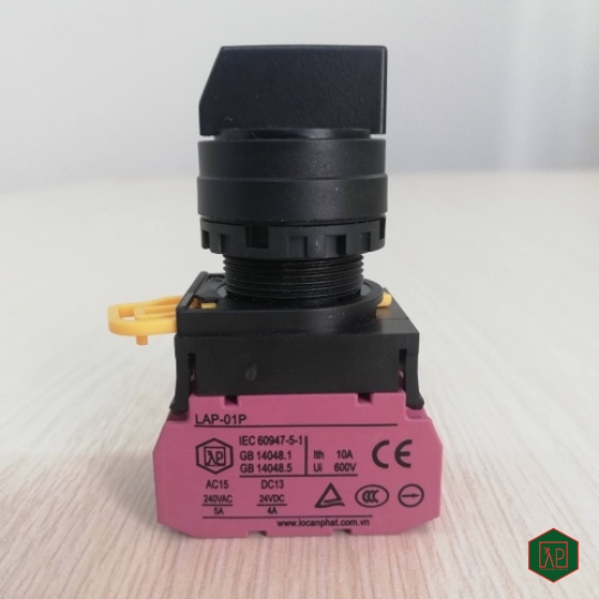 CÔNG TY CỔ PHẦN THƯƠNG MẠI VÀ DỊCH VỤ LỘC AN PHÁT