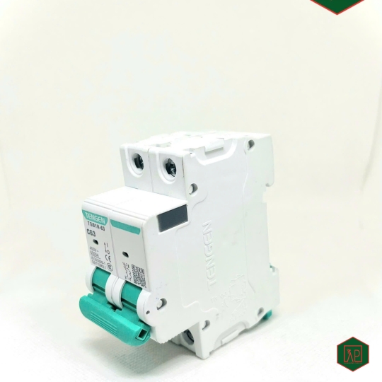 MCB ( CB TÉP) TGB1N-63-2P - Tengen